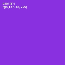 #8930E1 - Electric Violet Color Image
