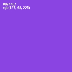 #8944E1 - Amethyst Color Image