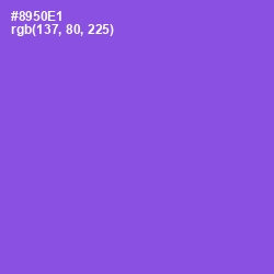 #8950E1 - Medium Purple Color Image