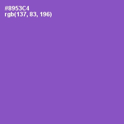 #8953C4 - Amethyst Color Image