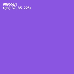 #8955E1 - Medium Purple Color Image