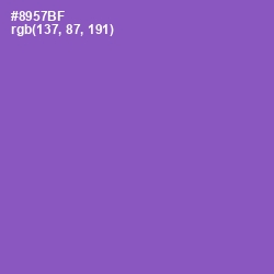 #8957BF - Wisteria Color Image