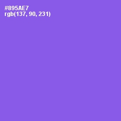 #895AE7 - Medium Purple Color Image