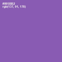 #895BB2 - Wisteria Color Image
