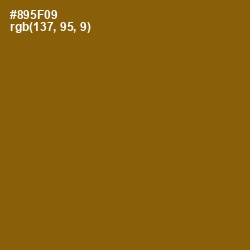 #895F09 - Rusty Nail Color Image