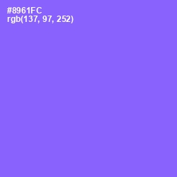 #8961FC - Medium Purple Color Image