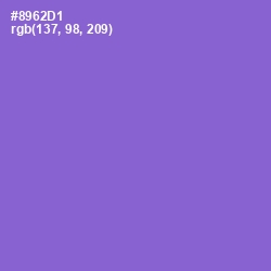 #8962D1 - Amethyst Color Image