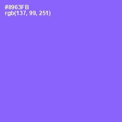 #8963FB - Medium Purple Color Image