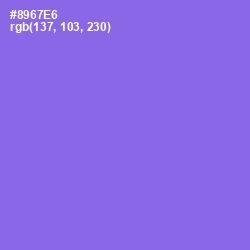 #8967E6 - Medium Purple Color Image