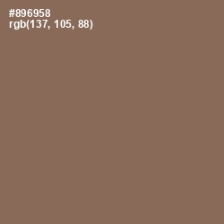 #896958 - Beaver Color Image