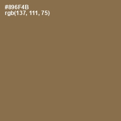 #896F4B - Shadow Color Image