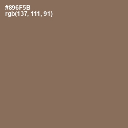 #896F5B - Beaver Color Image