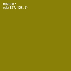 #898007 - Olive Color Image