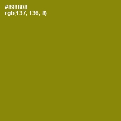 #898808 - Olive Color Image