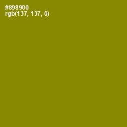 #898900 - Olive Color Image