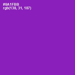 #8A1FBB - Violet Eggplant Color Image