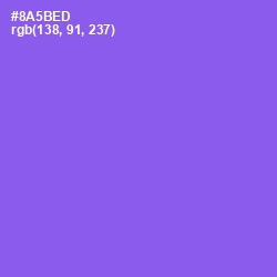 #8A5BED - Medium Purple Color Image
