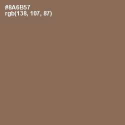 #8A6B57 - Beaver Color Image