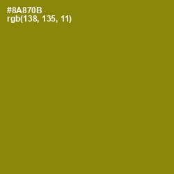 #8A870B - Olive Color Image