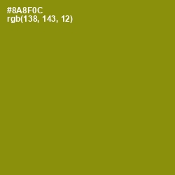 #8A8F0C - Olive Color Image