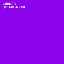 #8B03EB - Electric Violet Color Image