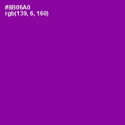 #8B06A0 - Violet Eggplant Color Image