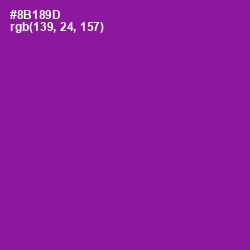 #8B189D - Violet Eggplant Color Image