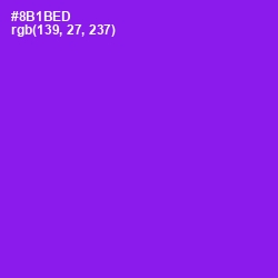 #8B1BED - Electric Violet Color Image