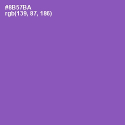#8B57BA - Wisteria Color Image