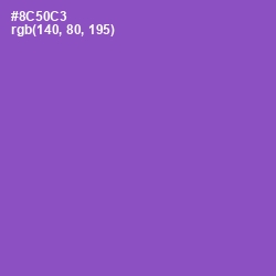 #8C50C3 - Amethyst Color Image