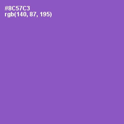#8C57C3 - Amethyst Color Image