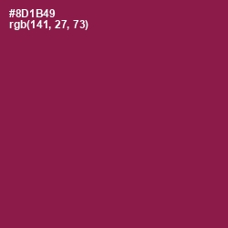 #8D1B49 - Disco Color Image