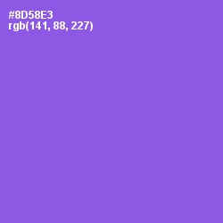 #8D58E3 - Medium Purple Color Image