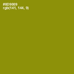 #8D9009 - Olive Color Image