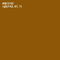#8E5707 - Rusty Nail Color Image