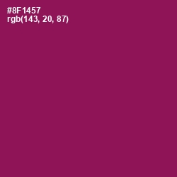 #8F1457 - Disco Color Image