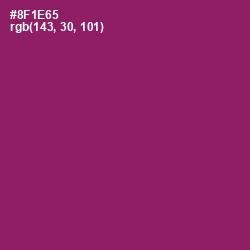 #8F1E65 - Fresh Eggplant Color Image