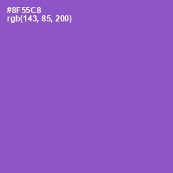 #8F55C8 - Amethyst Color Image