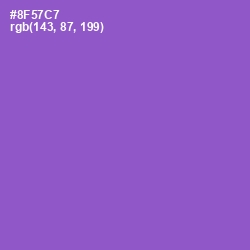 #8F57C7 - Amethyst Color Image