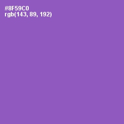 #8F59C0 - Amethyst Color Image