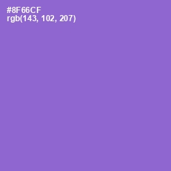 #8F66CF - Amethyst Color Image