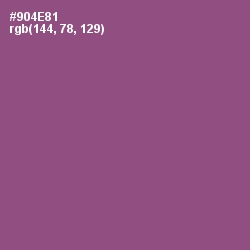 #904E81 - Strikemaster Color Image