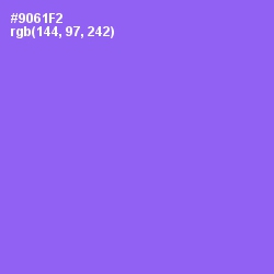 #9061F2 - Medium Purple Color Image