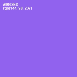 #9062ED - Medium Purple Color Image