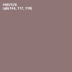 #907576 - Hemp Color Image