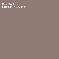 #907A74 - Hemp Color Image