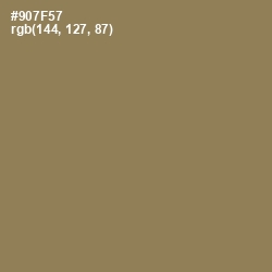 #907F57 - Leather Color Image