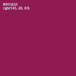 #911A53 - Disco Color Image