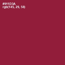 #911D3A - Merlot Color Image