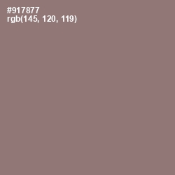 #917877 - Hemp Color Image